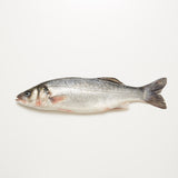 Branzino